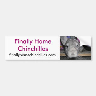 Adesivo Para Carro Chinchilas finalmente Home autocolante no vidro