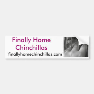 Adesivo Para Carro Chinchilas finalmente Home, pimentões