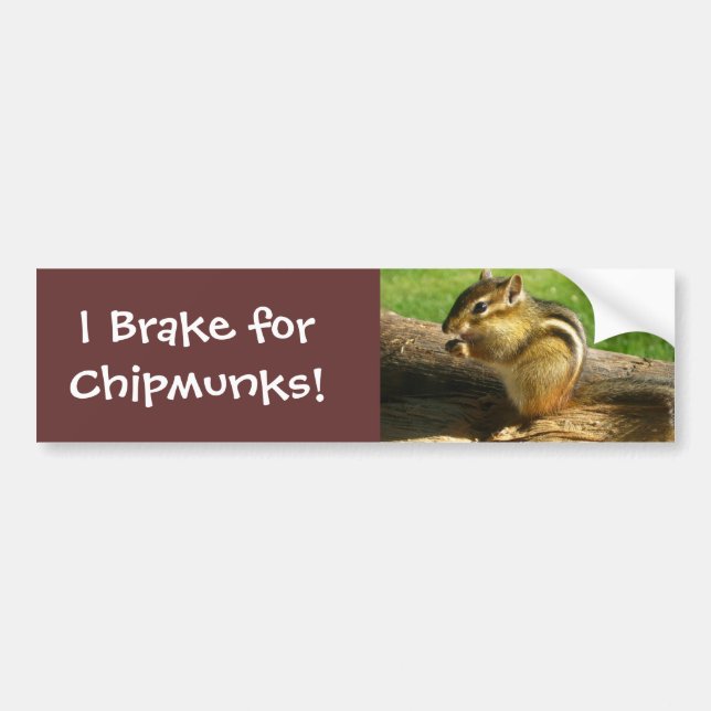 Adesivo Para Carro Chipmunk bonito (Frente)