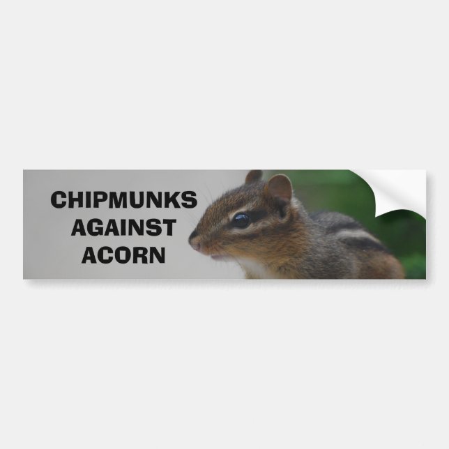 Adesivo Para Carro Chipmunks contra o autocolante no vidro traseiro (Frente)