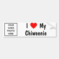 Chiweenie