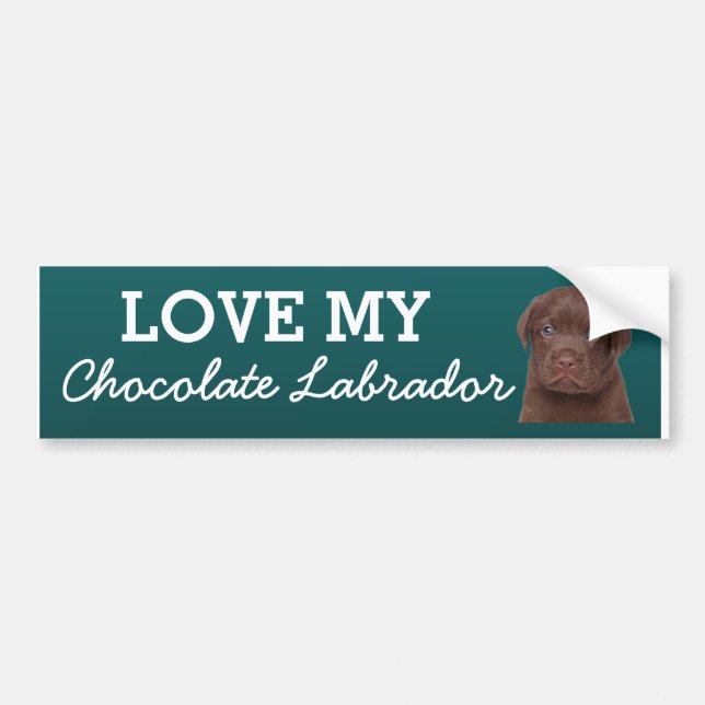 Adesivo Para Carro Chocolate Labrador (Frente)