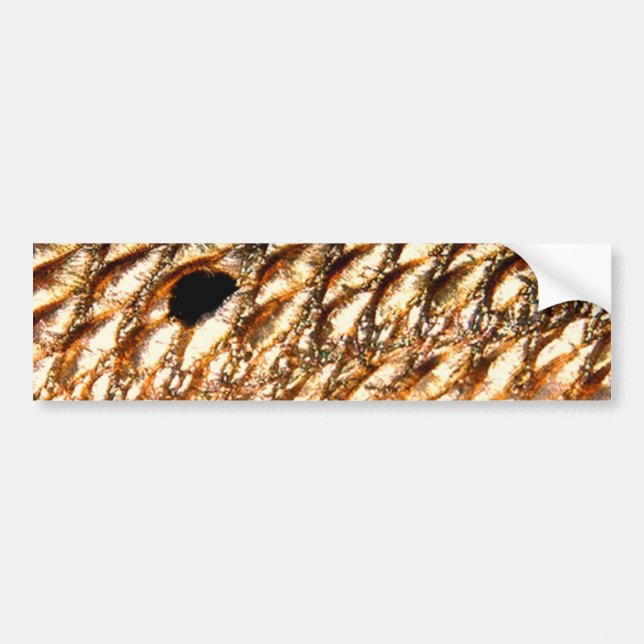 Adesivo Para Carro Cilindro vermelho dos "salmonetess" - por (Frente)