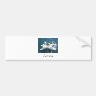 Adesivo Para Carro Cisnes de Advaita