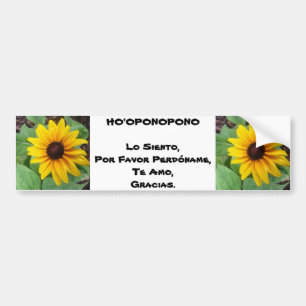 ADESIVO PARA CARRO COLEÇÃO STIKER DE HO'OPONOPONO