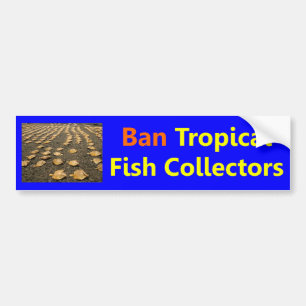 Adesivo Para Carro Coletores tropicais dos peixes da proibição
