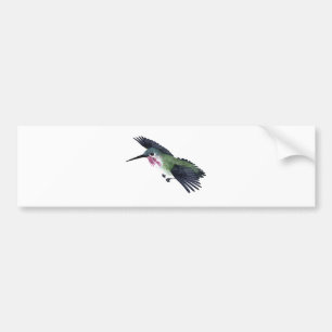 Adesivo Para Carro Colibri do Calliope