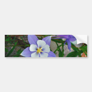 Adesivo Para Carro Columbina azul