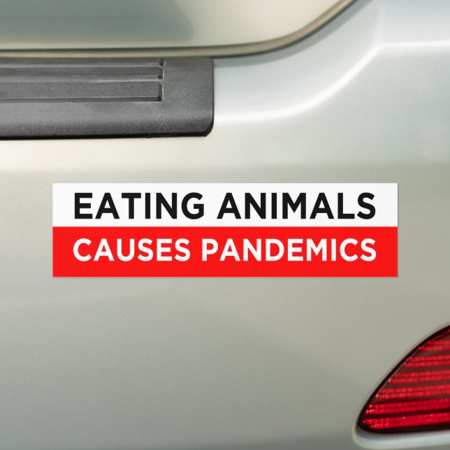 Adesivo Para Carro comer animais causa pandemia vegana (No carro)