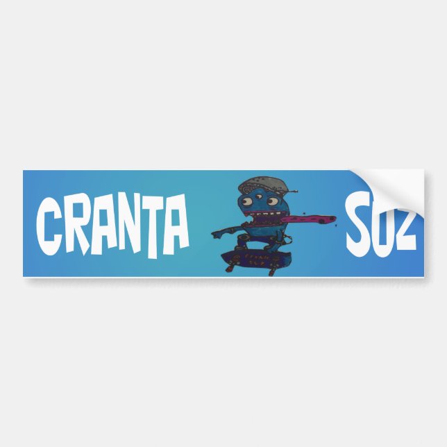 Adesivo Para Carro Concessões Suz Bumpersticker (Frente)