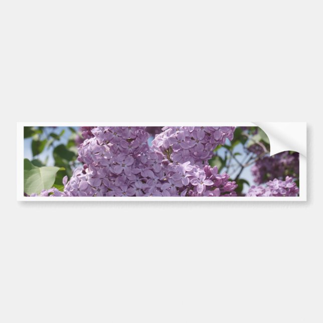 Adesivo Para Carro Conjunto do Lilac (Frente)