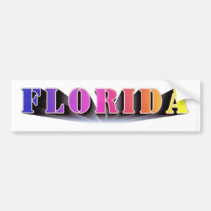 Adesivo Para Carro Cores de Florida