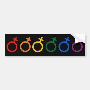 ADESIVO PARA CARRO CORES DO ORGULHO FEMININO