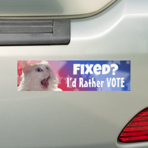 Adesivo Para Carro Correto? Eu Preferencialmente Voto