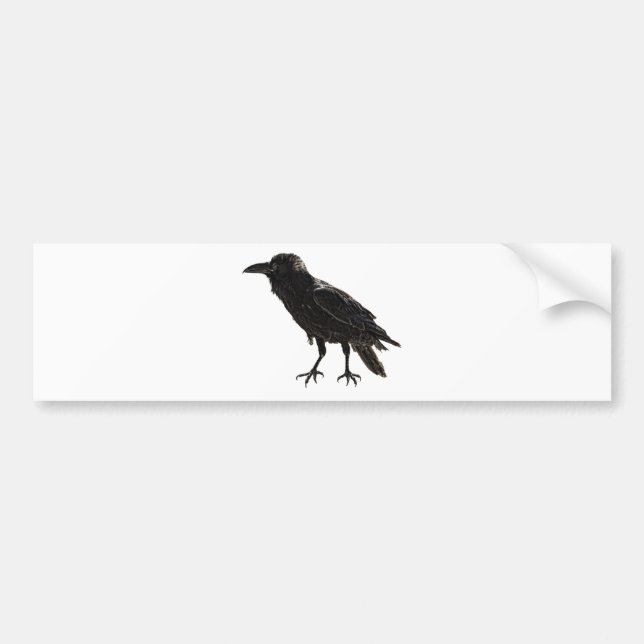Adesivo Para Carro Corvo (Frente)