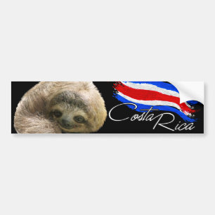 Adesivo Para Carro Costa Rica Sloth