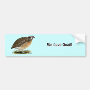 Adesivo Para Carro Coturnix Pharaoh Quail