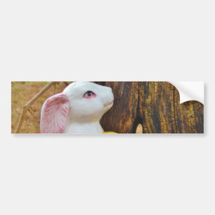 Adesivo Para Carro Country Páscoa Bunny