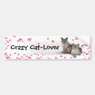 Adesivo Para Carro Crazy Cat-Lover