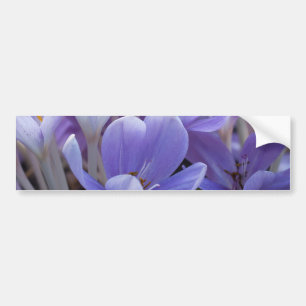 Adesivo Para Carro Crocus
