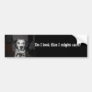 Adesivo Para Carro Cuidado dos Dalmatians
