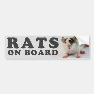 Adesivo Para Carro (Cute) Ratos ele board
