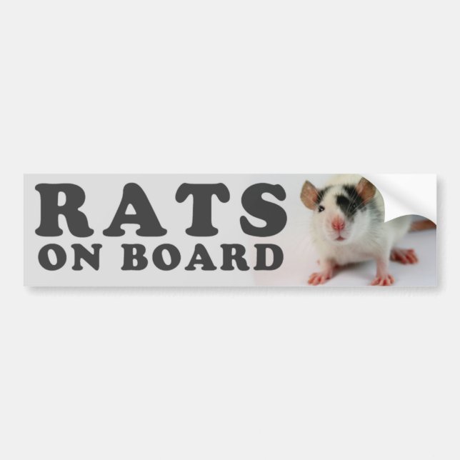 Adesivo Para Carro (Cute) Ratos ele board (Frente)