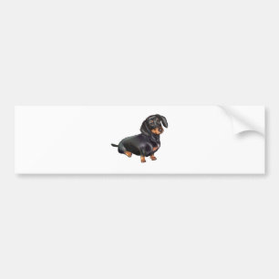 Adesivo Para Carro Dachshund (A) - Preto e bronzeado