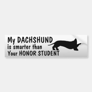 Adesivo Para Carro Dachshund - mais esperto do que o estudante da