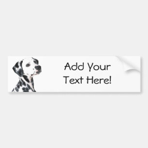 Adesivo Para Carro Dalmatian