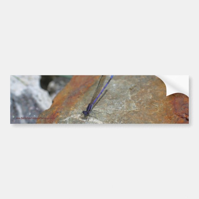 Adesivo Para Carro Damselfly Nature Bumper Sticker (Frente)