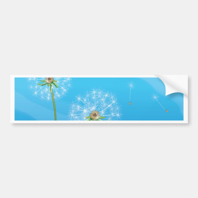 Adesivo Para Carro Dandelion (Frente)