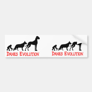 Adesivo Para Carro Danes Evolution