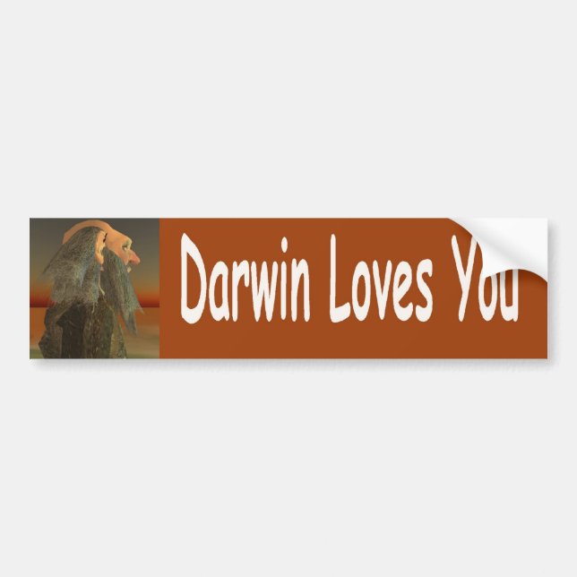 Adesivo Para Carro Darwin (Frente)