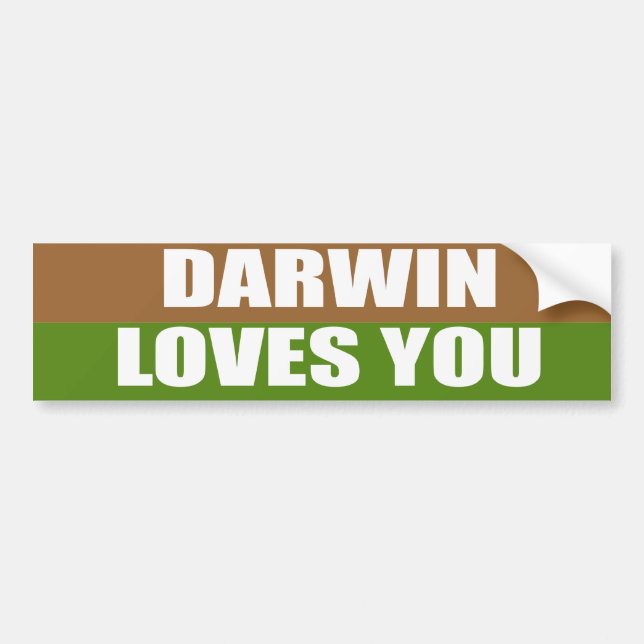 Adesivo Para Carro Darwin ama-o (Frente)