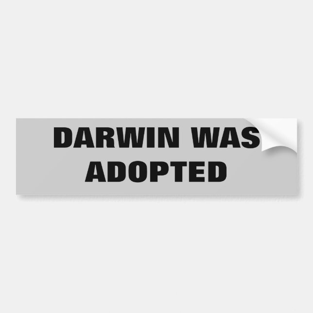 Adesivo Para Carro Darwin Foi Adotado (Frente)