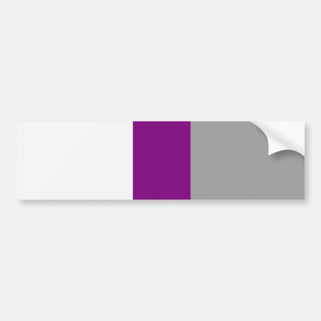 Adesivo Para Carro Demisexual Pride (Frente)