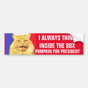 Adesivo Para Carro dentro de HINKtHE bOX Pumpkin para presidente