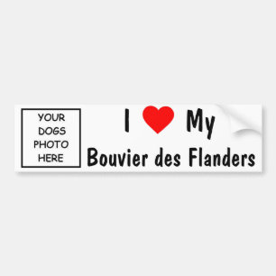 Adesivo Para Carro DES Flanders de Bouvier