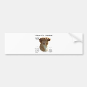 Adesivo Para Carro Design anunciando da história do Retriever do pat