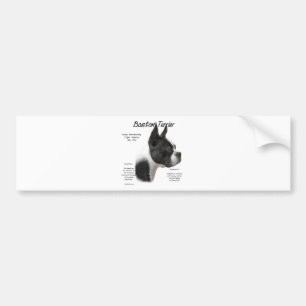 Adesivo Para Carro Design de História de Boston Terrier