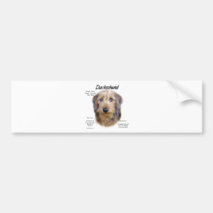 Adesivo Para Carro Design de História do Dachshund (wirehair)