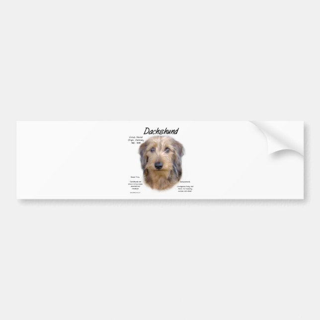 Adesivo Para Carro Design de História do Dachshund (wirehair) (Frente)