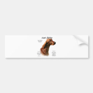Adesivo Para Carro Design do Irish Setter History