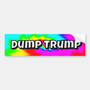 Adesivo Para Carro Despeje Trump (você pode mudar as palavras)
