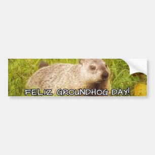 Adesivo Para Carro Dia de Feliz Groundhog! autocolante no vidro
