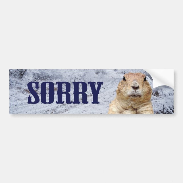 Adesivo Para Carro Dia de Groundhog Desculpe (Frente)