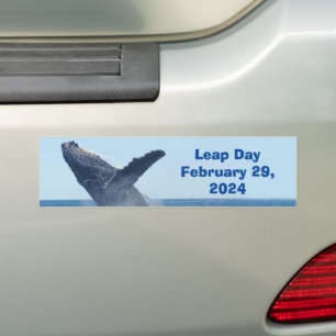 Adesivo Para Carro Dia do Salto 29 de fevereiro de 2024