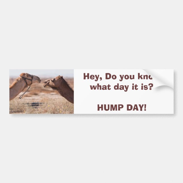 Adesivo Para Carro Dia Hump (Frente)