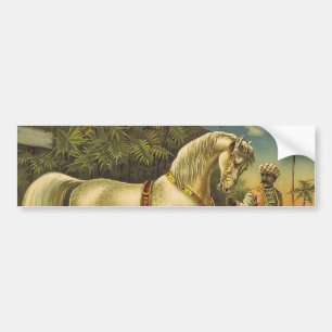 Adesivo Para Carro Direitos do cavalo do T